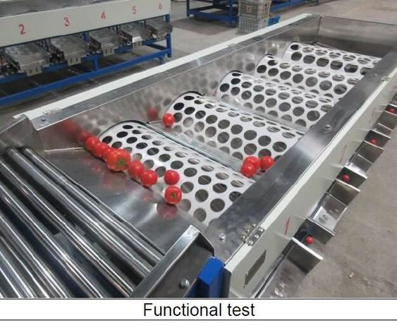 Tomato Size Sorting Machine