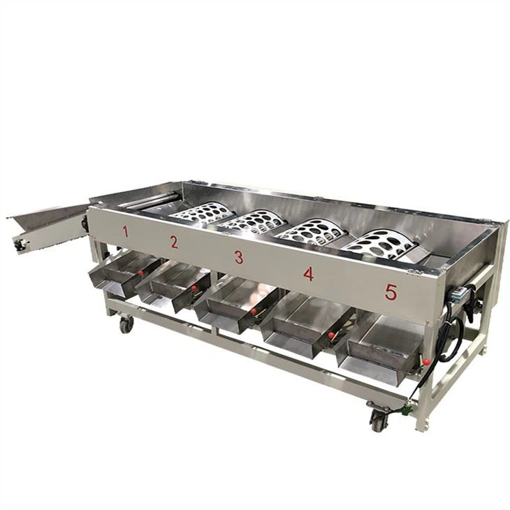 Apple Tomato Sorting Machine