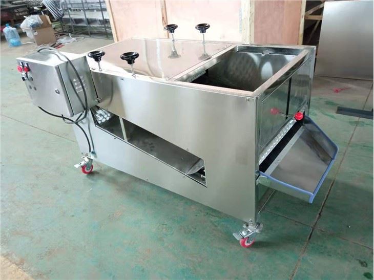 Mushroom Stem Removing Machine