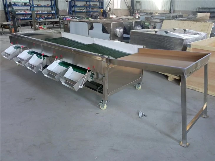 Full-automatic Blueberry Sorting Machine