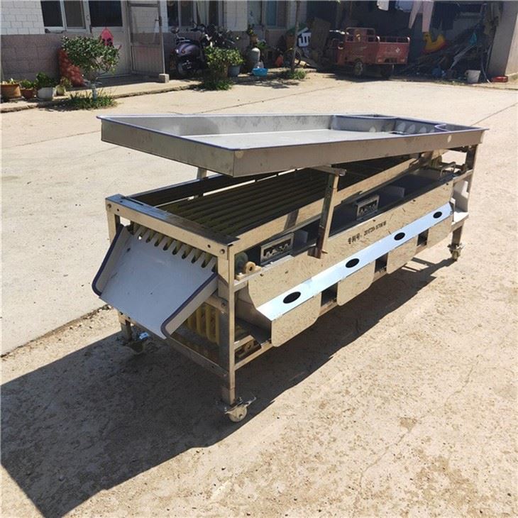 Olive Sorting Machine