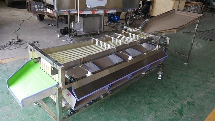 Olive Sorting Machine