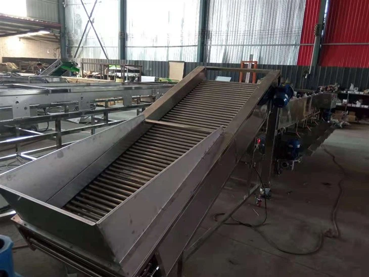 Potato Grader Machine