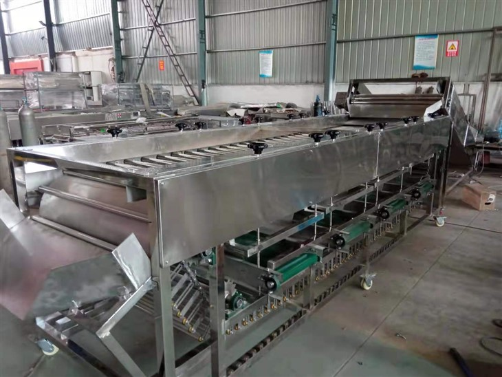 Potato Grader Machine