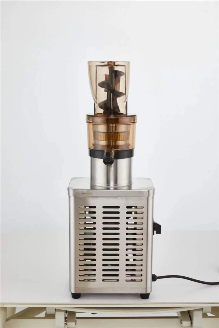 Small Fruit Juicer Machine